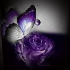 Meet your Posher, Janette